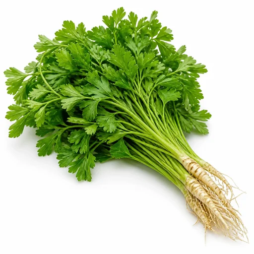 Parsley