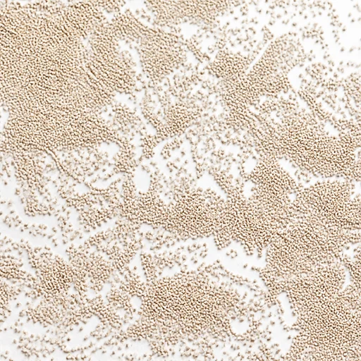 Dry yeast