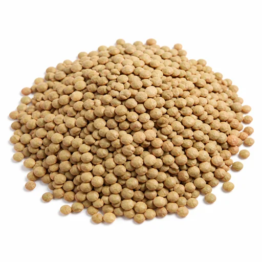 Lentils