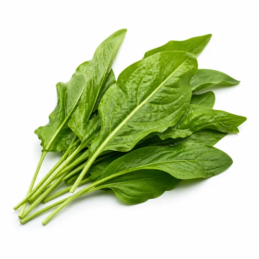 Sorrel