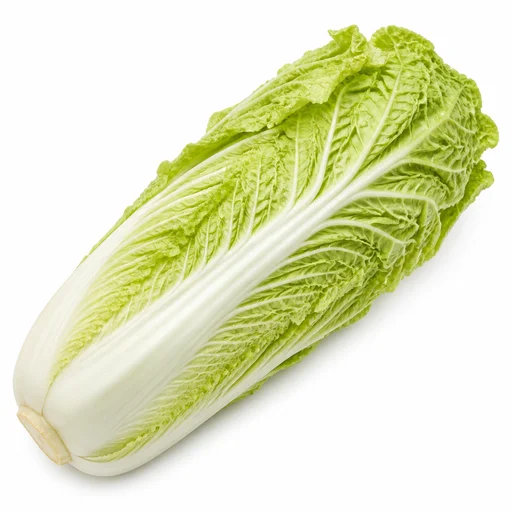 Napa cabbage (pak choi type)