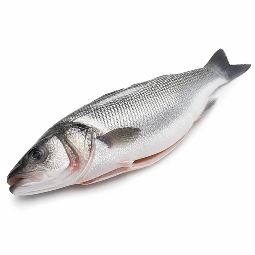 Sea bass