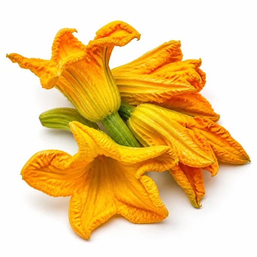Zucchini blossoms
