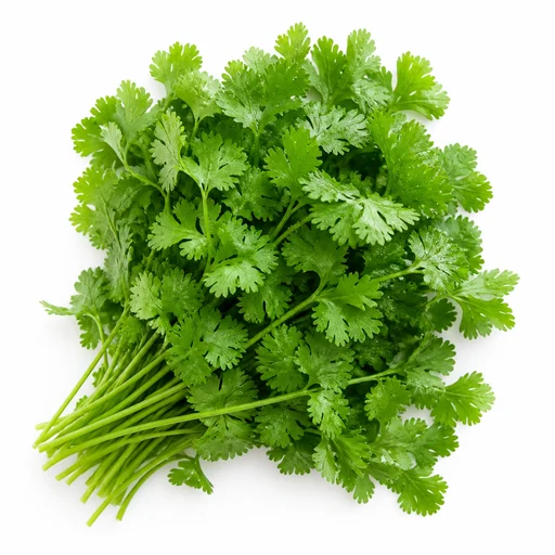Fresh cilantro (coriander)