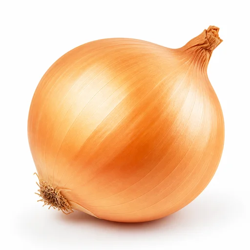 Spanish onion