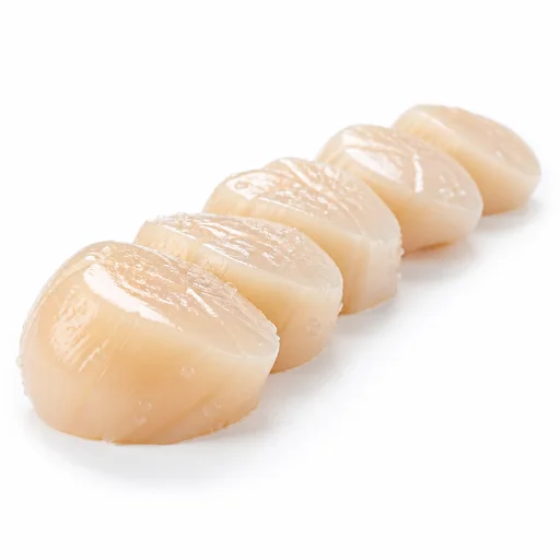 Sea scallops