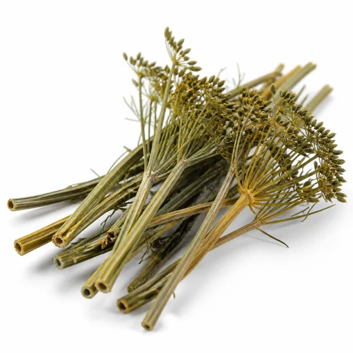 Dried dill stalks