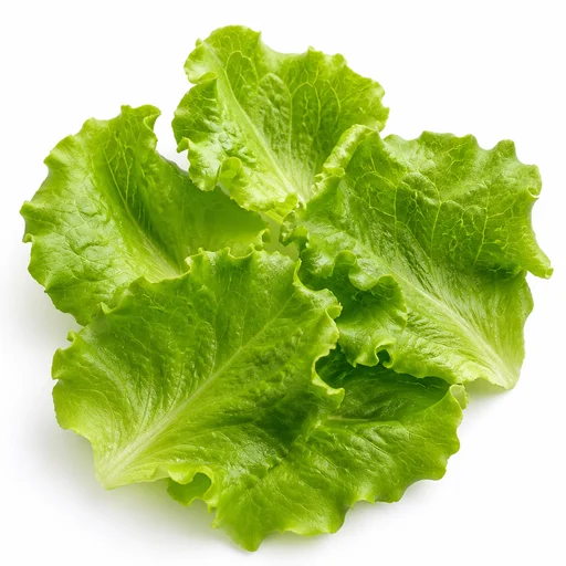 Lettuce leaves