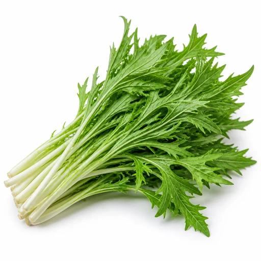 Mizuna