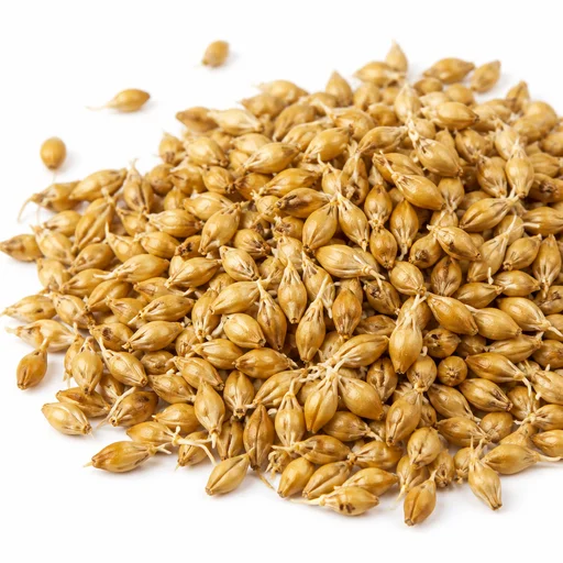 Malt