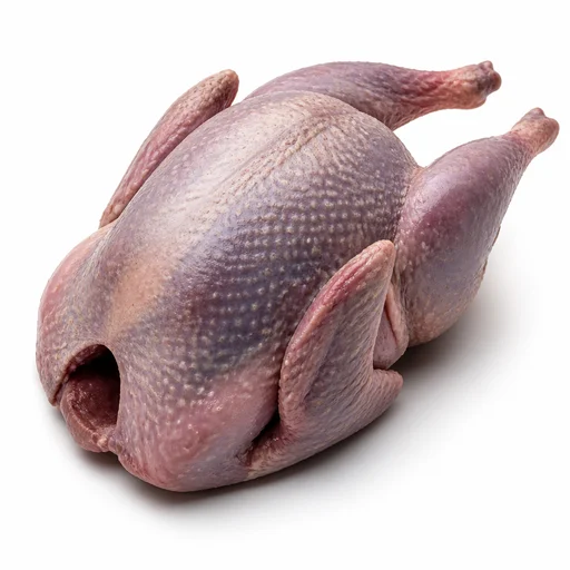 Guinea fowl
