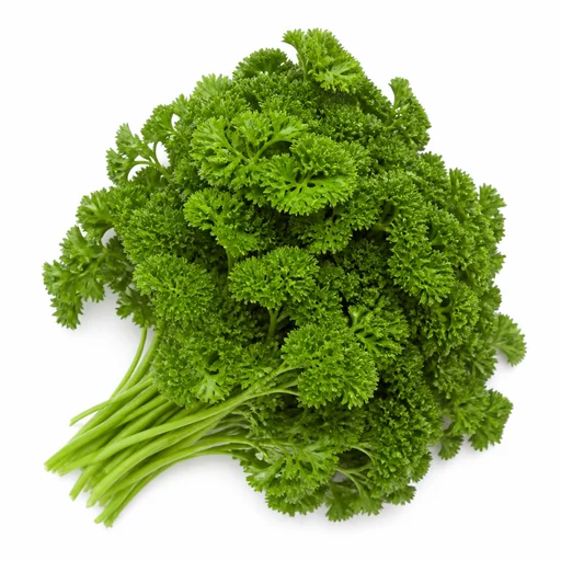 Curly parsley