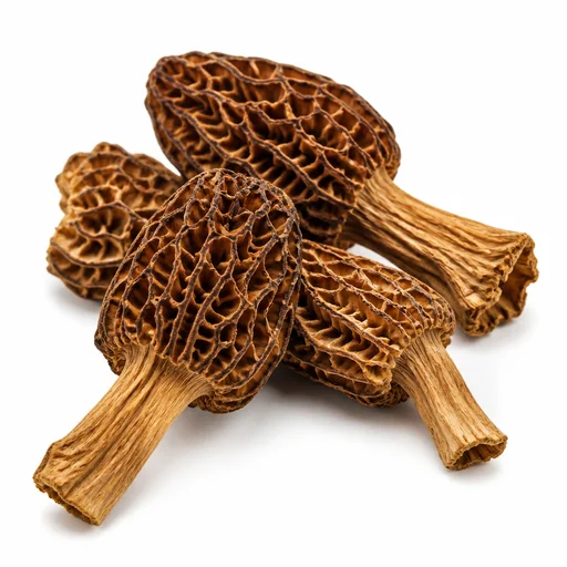 Dried morels