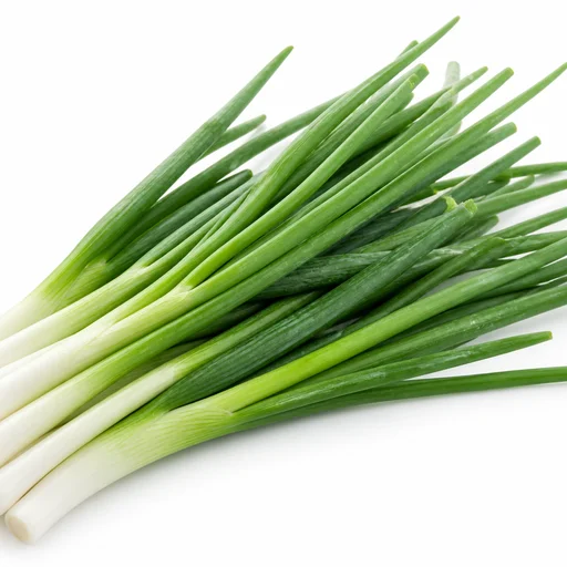 Chives (ciboulette)