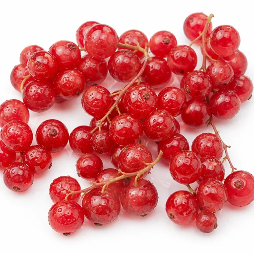 Redcurrant