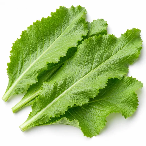 Horseradish leaves