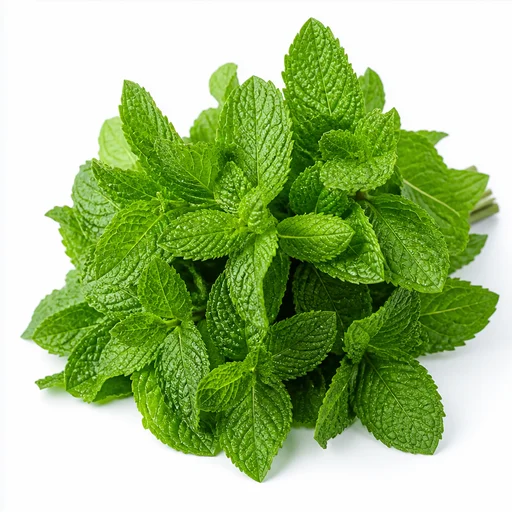 Mint