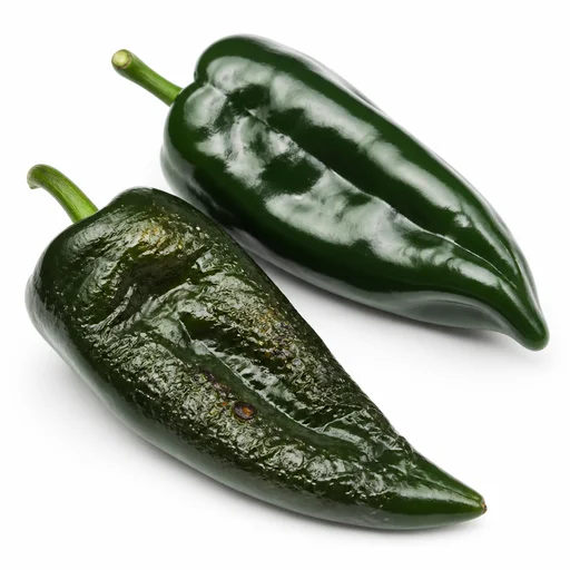 Poblano chili pepper