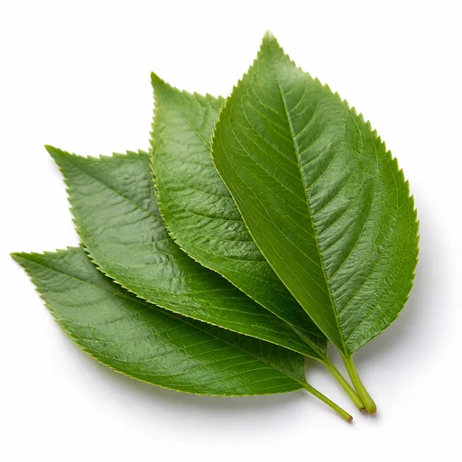 Cherry leaves