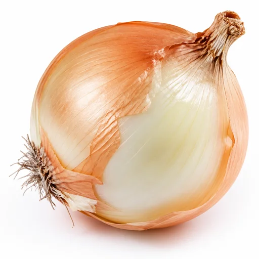 Onion