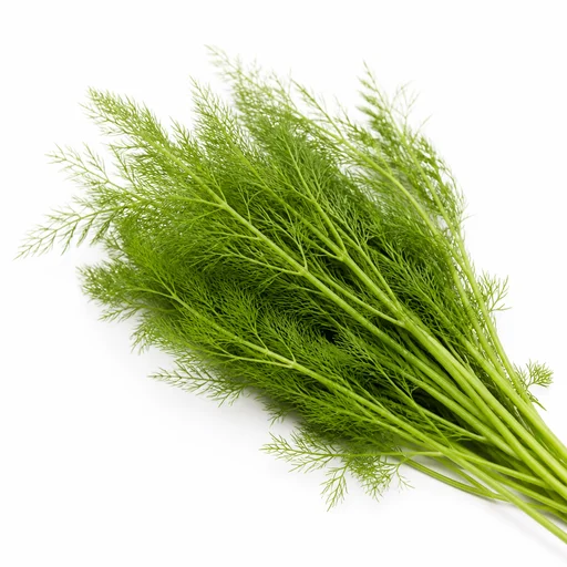 Fennel fronds