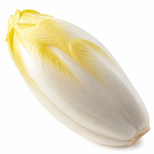 White chicory (Belgian endive)