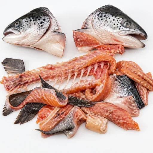 Salmon (red fish) heads and trimmings