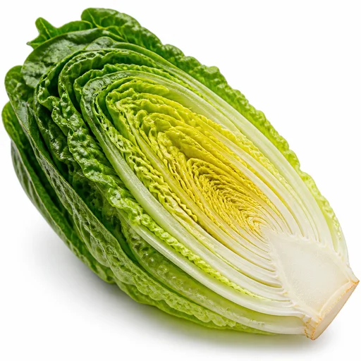 Romaine lettuce