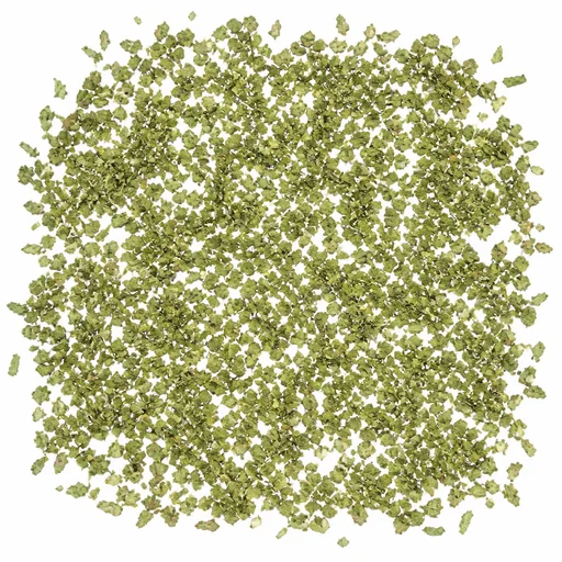 Dried celery leaves