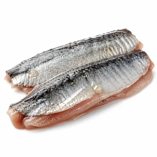 Sardine fillet