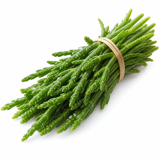 Samphire (glasswort)