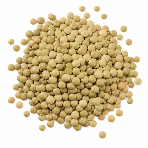 Green lentils