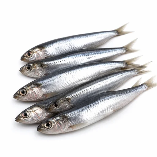 Small fish (for stock/frying)