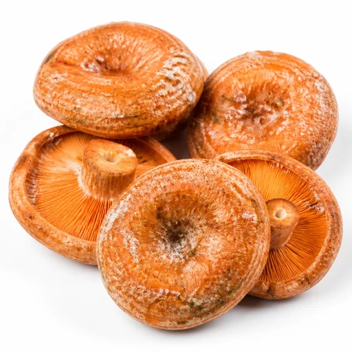 Солёные рыжики