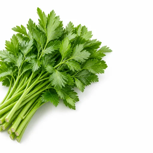 Lovage