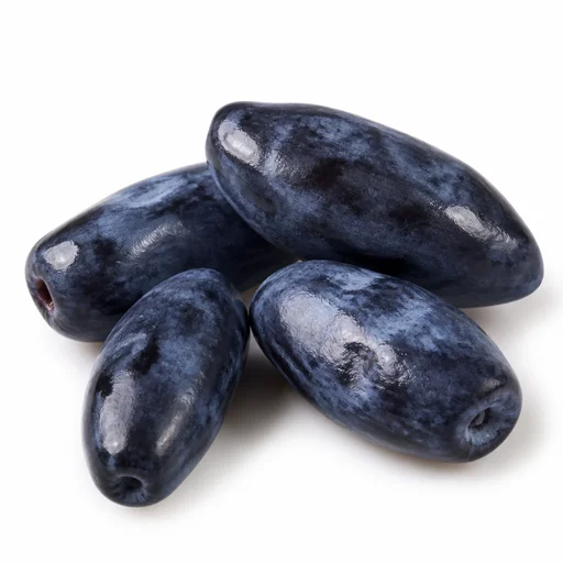 Honeyberry (haskap)
