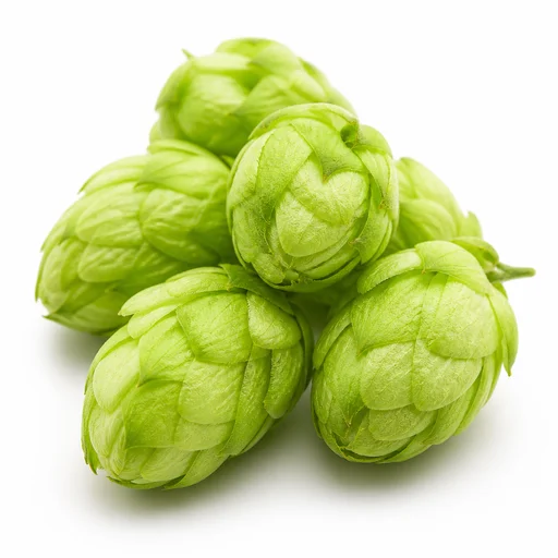 Hops