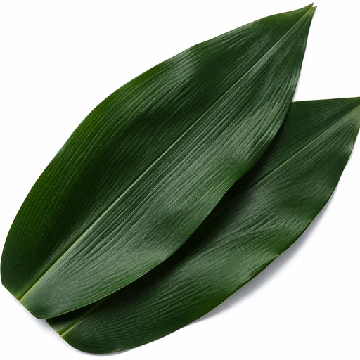 Bamboo leaves