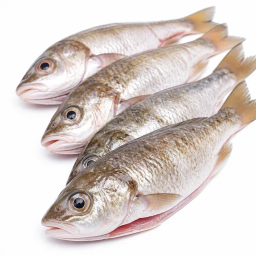 Goby fish