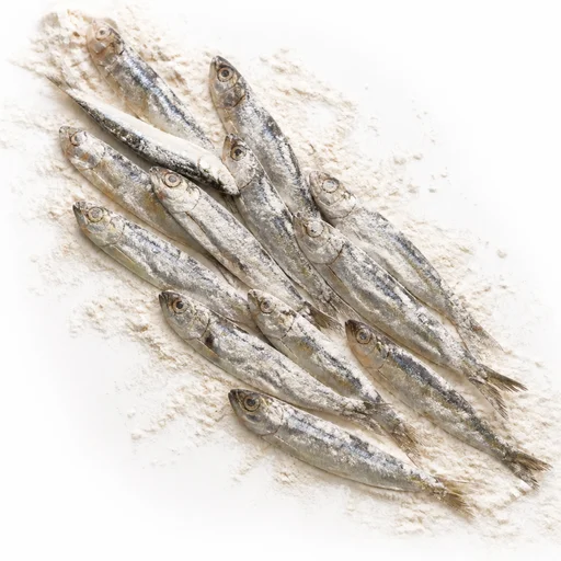 Black Sea anchovy (hamsa)