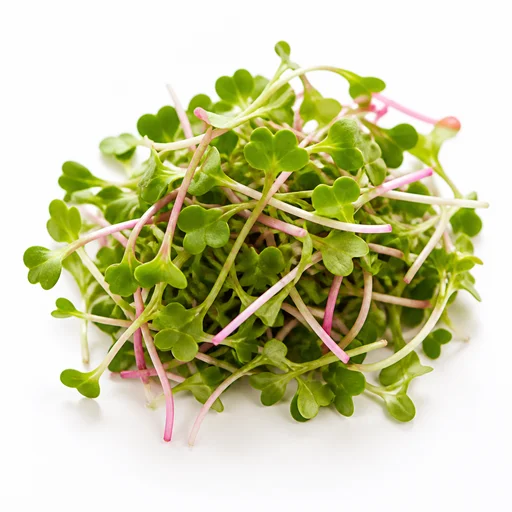 Microgreens salad mix