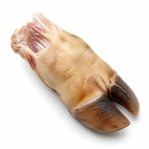 Beef trotter (cow's foot)