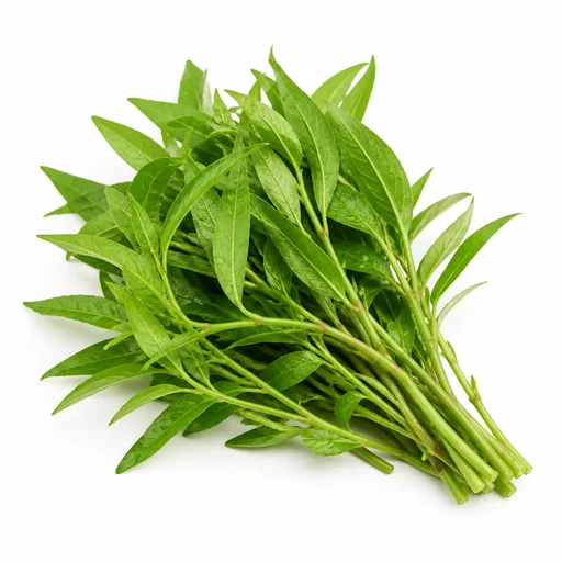 Vietnamese coriander (rau ram)