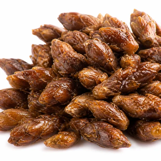 Birch buds